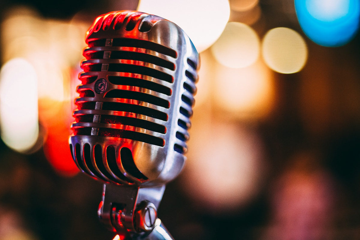 How to Choose a Karaoke Speaker with Microphone — MKPULSE pro audio